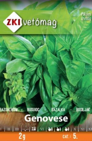 Bazsalikom Genovese ZKI 5