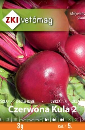 Cékla Czerwona Kula ZKI 5
