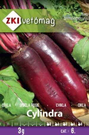 Cékla Cylindra  ZKI 6