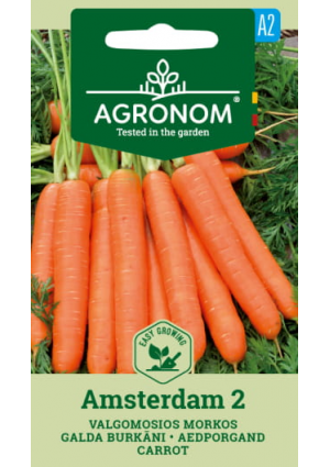 Sárgarépa Amsterdam 2 SL AGR