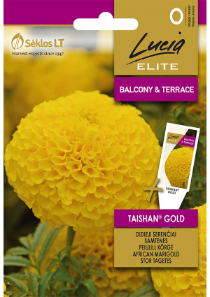 Büdöske African Taishan Gold SL ELN