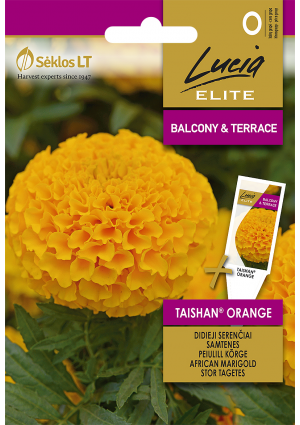 Büdöske African Taishan Orange SL ELN