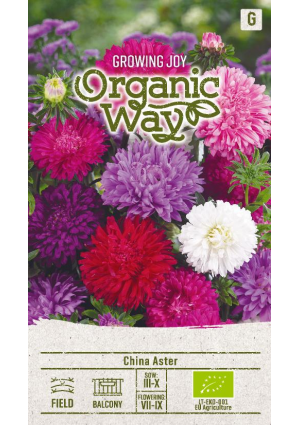 Őszirózsa  China Aster Standy SL OW