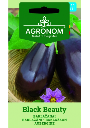 Padlizsán Black Beauty SL AGR