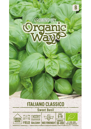 Bazsalikom Italiano Classico SL OW