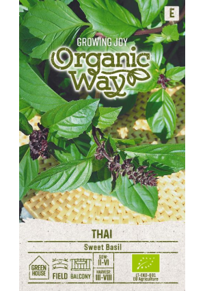 Bazsalikom Thai SL OW