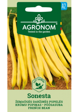 Bab Francia törpe(Zöldbab) Sonesta SL AGR