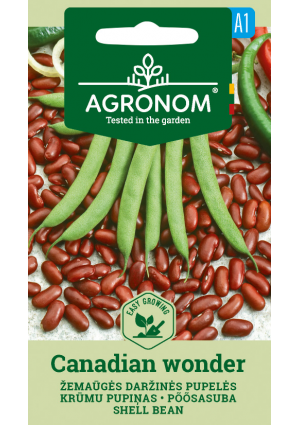 Bab törpe (szárazbab) Canadian Wonder SL AGR