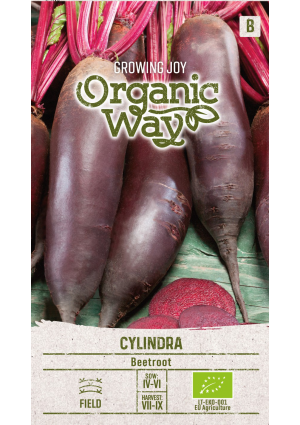 Cékla Cylindra SL OW