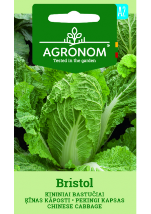 Kínai Kel Bristol SL AGR