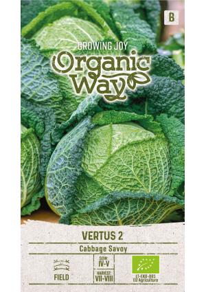 Kelkáposzta Vertus 2 SL OW