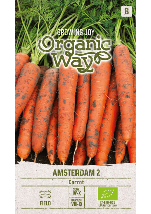 Sárgarépa Amsterdam 2 SL OW