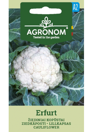 Karfiol Erfurt SL AGR