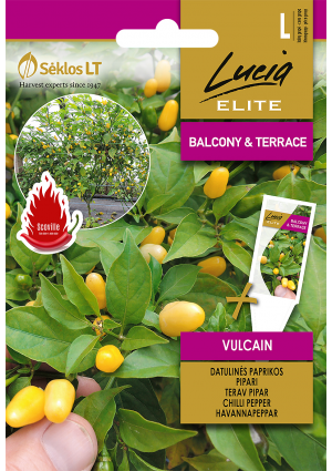 Paprika chili Vulcain SL ELN