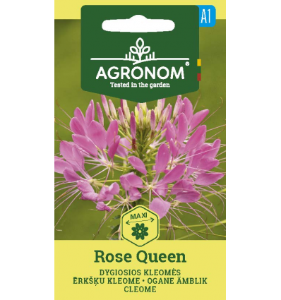 Kleopátra-tűje Rose Queen SL AGR