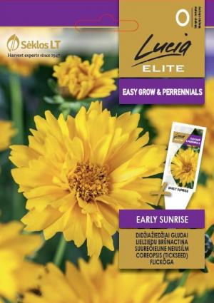 Menyecskeszem Nagyfészkű Early Sunrise SL ELN