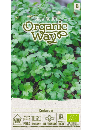 Koriander SL OW