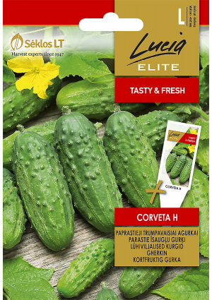 Uborka Corveta Hibrid SL ELN