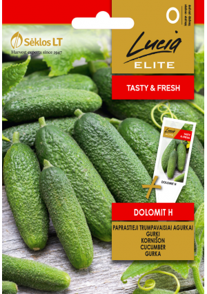 Uborka Dolomit Hibrid SL ELN