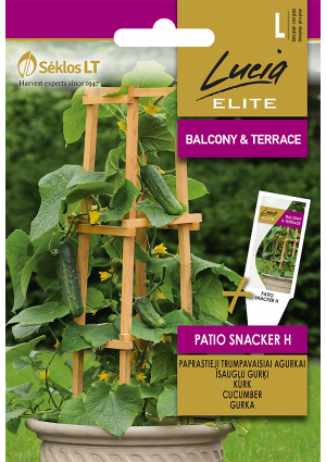 Uborka Patio Snacker Hibrid SL ELN