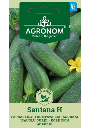 Uborka Santana Hibrid SL AGR