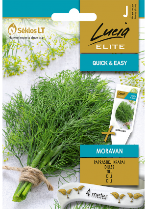 Kapor Moravan Vetőszalagos SL ELN