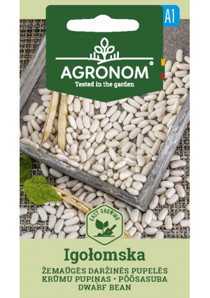 Bab törpe (szárazbab) IGOŁOMSKA SL AGR