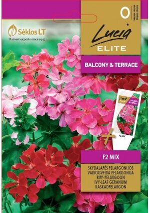 Muskátli Mix F2 IVY SL ELN