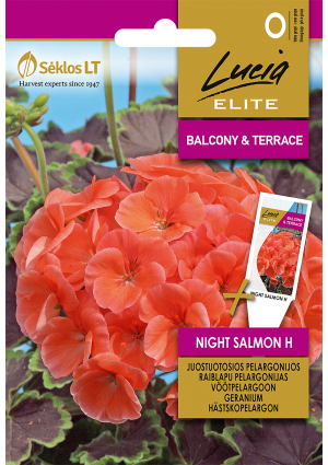 Muskátli Night Salmon Hibrid SL ELN