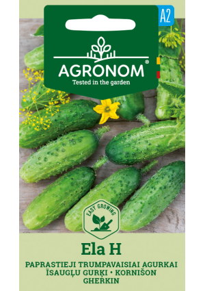 Uborka ELA Hibrid  SL AGR