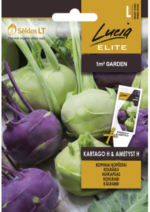 Karalábé  Kartago és Ametyst Hibrid SL ELN