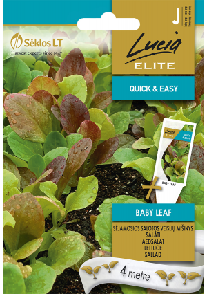 Saláta Baby Leaf magszalagos  SL ELN