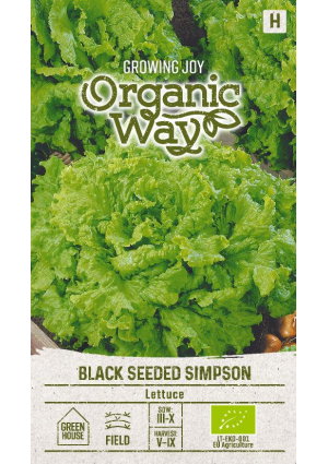 Saláta Black Seeded Simpson SL OW
