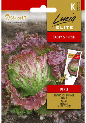 Saláta Derel SL ELN