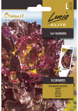 Saláta Florinred Sl ELN