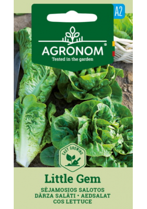 Saláta Little Gem SL AGR
