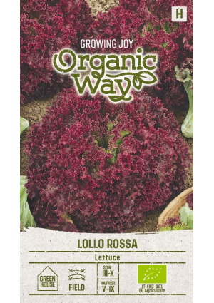 Saláta Lollo Rossa SL OW