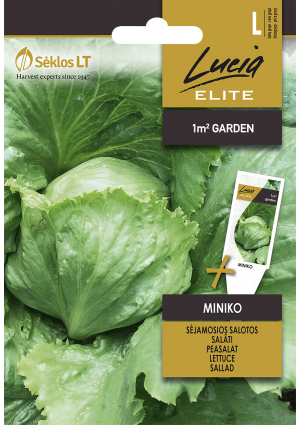 Saláta Miniko SL ELN