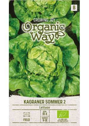 Saláta Kagraner Sommer 2 SL OW