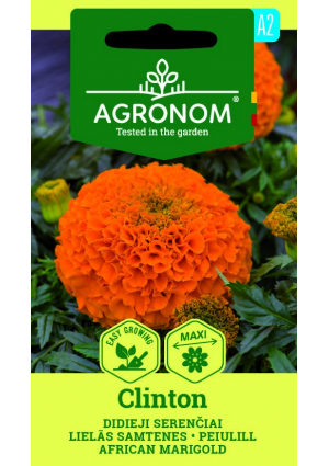 Büdöske Clinton SL AGR