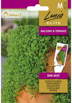 Korsikai  menta  mini mint SL ELN