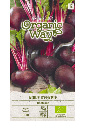 Cékla Noire D'egypte SL OW