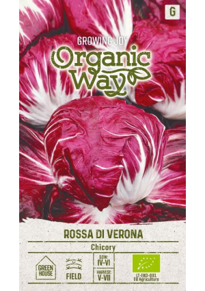 Cikóriasaláta  Rossa Di Verona SL OW