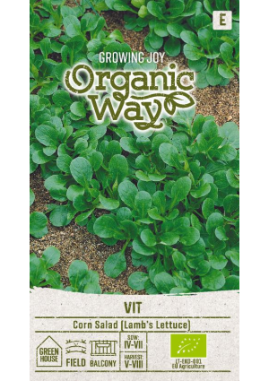 Galambbegy saláta Vit SL OW