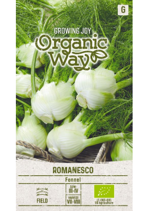 Édeskömény Romanesco SL OW