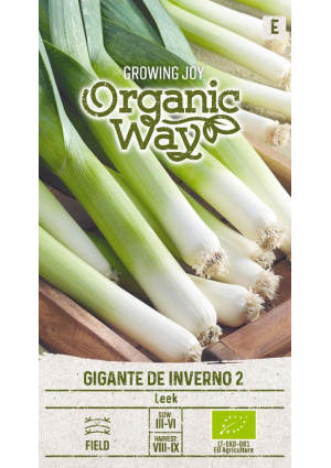 Póréhagyma Gigante De Inverno 2 SL OW