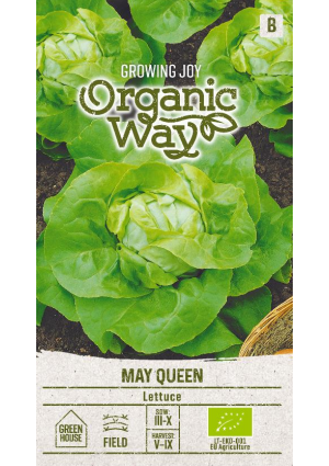 Saláta May Queen SL OW