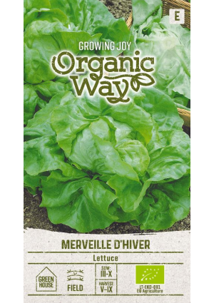 Saláta Merveille D'Hiver SL OW