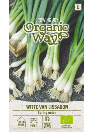 Hagyma Witte Van Lissabon SL OW