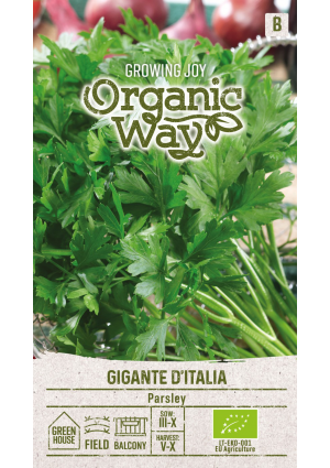Petrezselyem levél Gigante D'italia SL OW